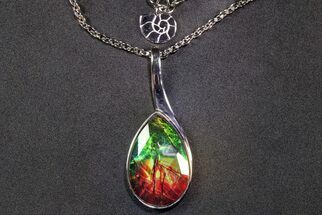 Stunning Ammolite Teardrop Pendant - Sterling Silver #271771
