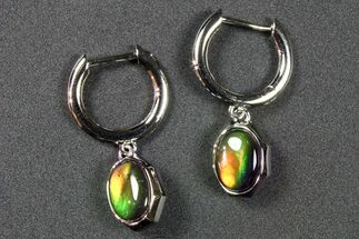Flashy Ammolite (Fossil Ammonite Shell) Earrings with Sterling Silver #271782