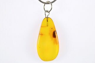 Polished Baltic Amber Pendant (Necklace) - Contains Caddisfly! #272322