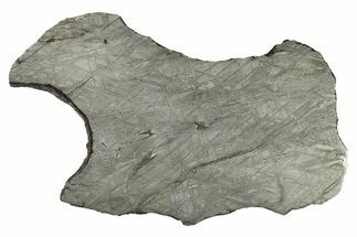 Etched Iron Meteorite Slice ( g) - Chad #272593