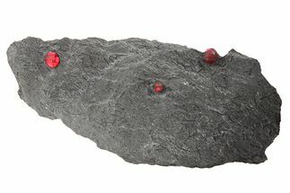 Plate of Two Red Embers Garnets in Sparkly Graphite - Massachusetts #272779