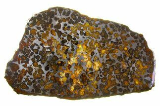 Polished Sericho Pallasite Meteorite ( g) Slice - Kenya #273230