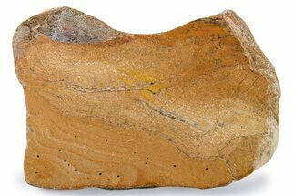 Polished Strelley Pool Stromatolite Slab - Billion Years Old #273567