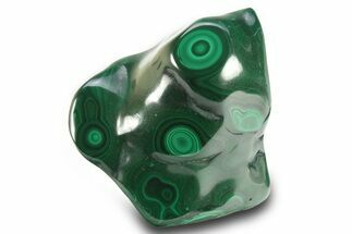 Banded Polished Malachite Specimen - DR Congo #273906