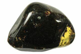 Polished Chiapas Amber ( g) - Mexico #274413