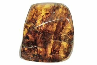 Polished Chiapas Amber ( g) - Mexico #274416