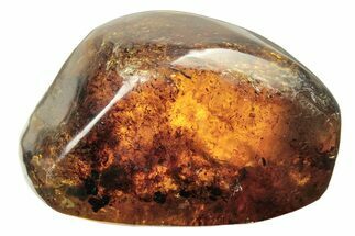 Polished Chiapas Amber ( g) - Mexico #274420