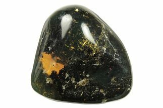 Polished Chiapas Amber ( g) - Mexico #274430