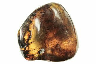 Polished Chiapas Amber ( g) - Mexico #274433