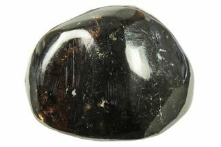 Polished Chiapas Amber ( g) - Mexico #274436