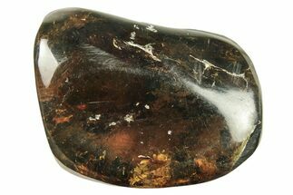Polished Chiapas Amber ( g) - Mexico #274440
