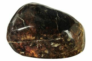 Polished Chiapas Amber ( g) - Mexico #274443