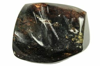 Polished Chiapas Amber ( g) - Mexico #274446