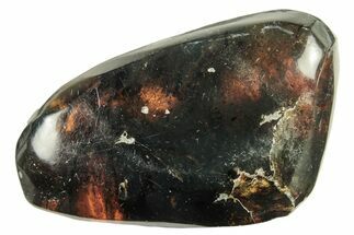 Polished Chiapas Amber ( g) - Mexico #274450