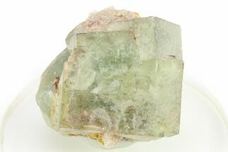 Fluorescent, Green Cubic Fluorite Crystal Cluster - Morocco #274572