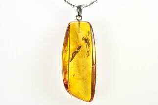 Polished Baltic Amber Pendant (Necklace) - Contains Fly & Mite! #275519