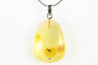Polished Baltic Amber Pendant (Necklace) - Contains Fly! #275742