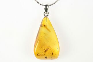 Polished Baltic Amber Pendant (Necklace) - Contains Insect! #275746