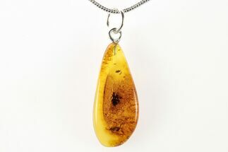 Polished Baltic Amber Pendant (Necklace) -Contains Fly & Isopod! #275788