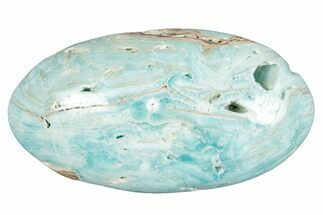 Polished Blue Caribbean Calcite Palm Stone #275580