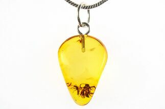 Polished Baltic Amber Pendant (Necklace) - Contains Wasps! #275814