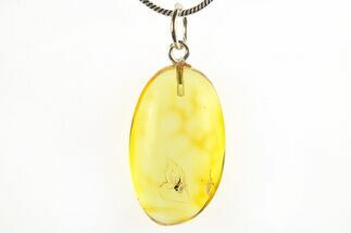 Polished Baltic Amber Pendant (Necklace) - Contains Fly! #275831