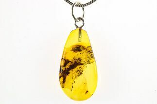 Polished Baltic Amber Pendant (Necklace) - Contains Beetle! #275832