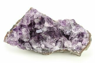 Sparkling Purple Amethyst Crystal Cluster - Uruguay #276150