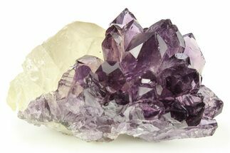 Glassy Purple Amethyst Crystal Cluster - Uruguay #276284