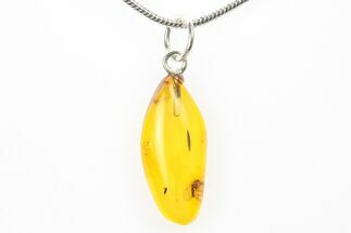 Polished Baltic Amber Pendant (Necklace) - Contains Fly! #275878