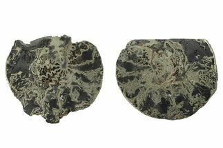 Pyritized Cut Ammonite Fossil Pair - Morocco #276671