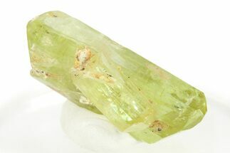 Gemmy Yellow-Green Apatite Crystal Cluster - Morocco #276487