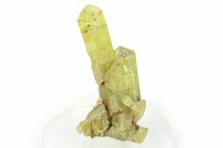 Gemmy Yellow-Green Apatite Crystal Cluster - Morocco #276490