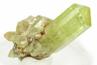Gemmy Yellow-Green Apatite Crystal Cluster - Morocco #276491