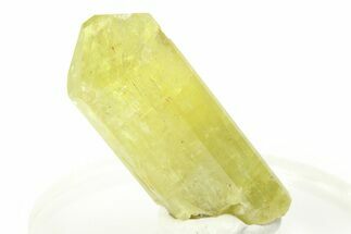 Gemmy Yellow-Green Apatite Crystal - Morocco #276512