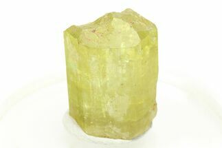 Gemmy Yellow-Green Apatite Crystal - Morocco #276513