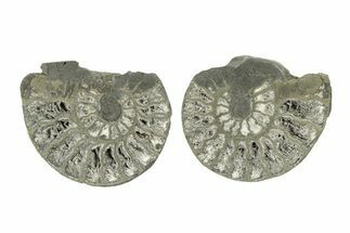 Pyritized Cut Ammonite Fossil Pair - Morocco #276689