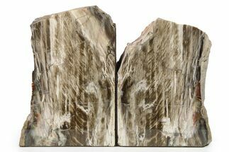 Tall Petrified Wood Bookends #277104