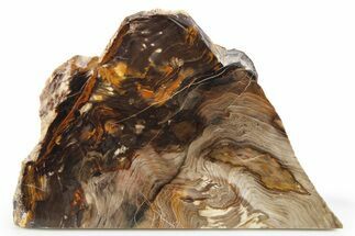 Colorful Petrified Wood Slab - Saddle Mountain, Washington #277117