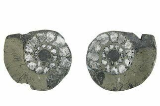 Pyritized Cut Ammonite Fossil Pair - Morocco #276596