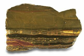 Polished Packsaddle Tiger Eye Slab - Western Australia #278170