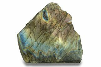 Single Side Polished Labradorite Slab - Madagascar #278216