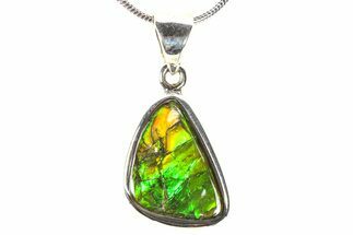 Stunning Ammolite Pendant (Necklace) - Sterling Silver #278435