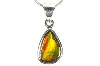 Stunning Ammolite Pendant (Necklace) - Sterling Silver #278441