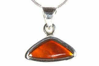 Stunning Ammolite Pendant (Necklace) - Sterling Silver #278445