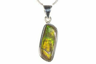 Stunning Ammolite Pendant (Necklace) - Sterling Silver #278416