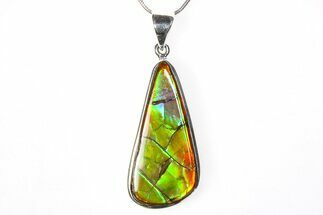 Stunning Ammolite Pendant (Necklace) - Sterling Silver #278418