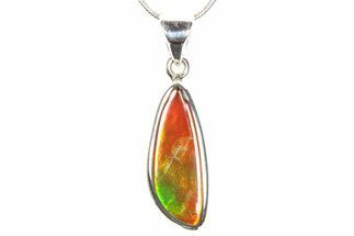 Stunning Ammolite Pendant (Necklace) - Sterling Silver #278420