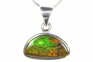 Stunning Ammolite Pendant (Necklace) - Sterling Silver #278421