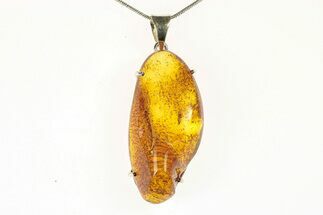 Polished Baltic Amber Pendant (Necklace) - Sterling Silver #279181
